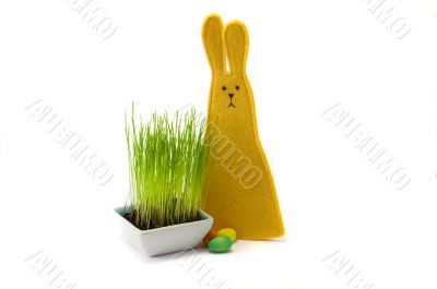 Bunny