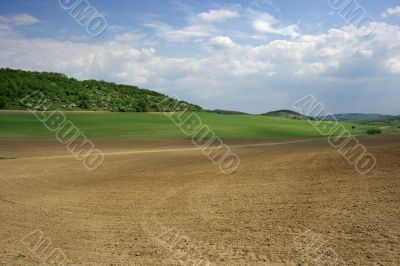 Feild