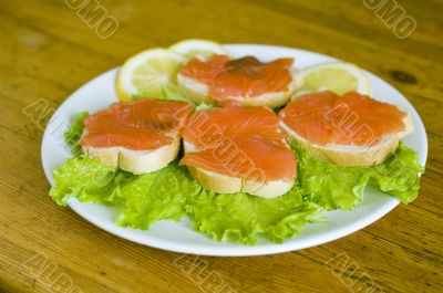 Delicious sandwich
