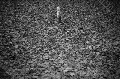 boy in the park