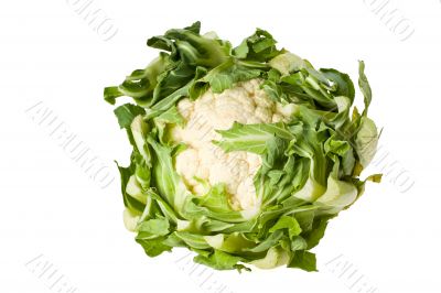 cauliflower