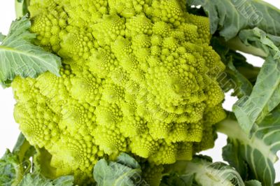 romanesco