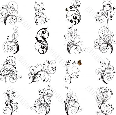 Set of floral vector elements