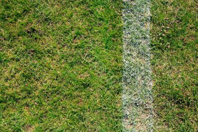 Sideline