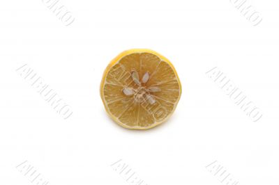 Half of the lemon 3