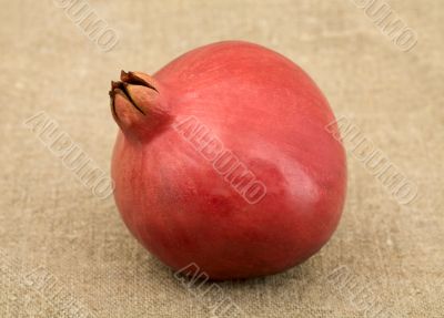 Pomegranate