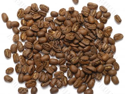 Coffe Beans