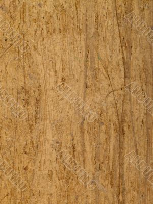 Egyptian papyrus texture