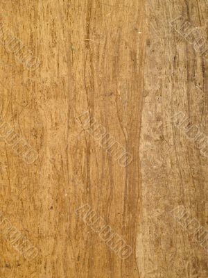 Egyptian papyrus texture