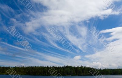 Summer landscape