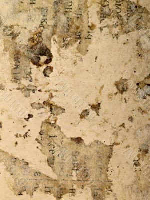 Old photo paper. Back side of old photos