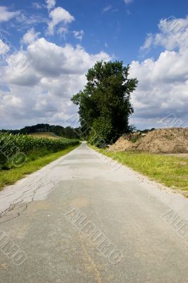 Rural road