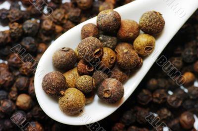 black pepper in a ceramic spoontea