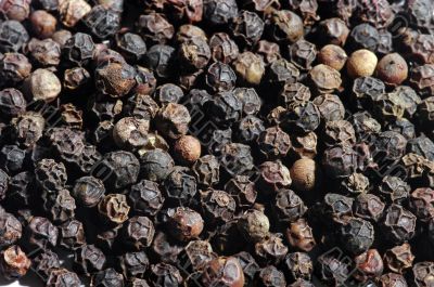 Black pepper