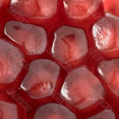 Red grains of pomegranate background