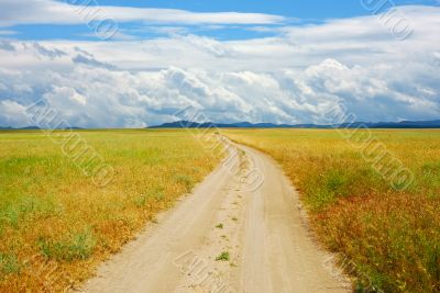 field road