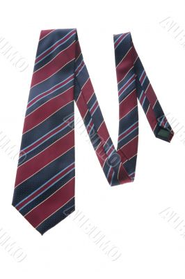 necktie