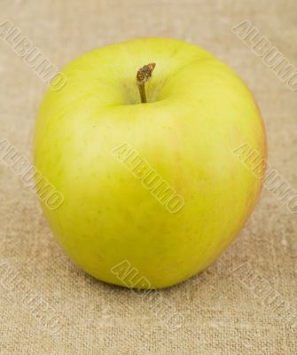 Yellow ripe apple