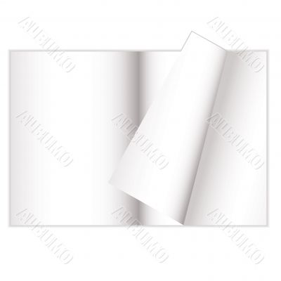 magazine curl