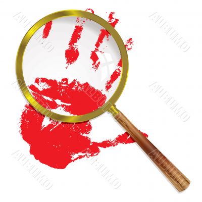 magnify blood