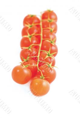 tomatos