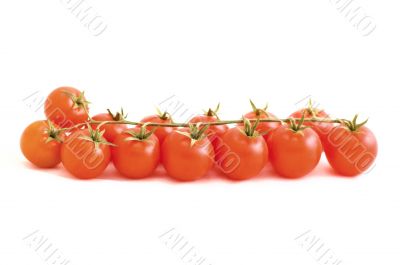 tomatos