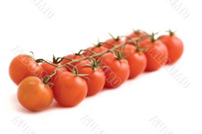tomatos