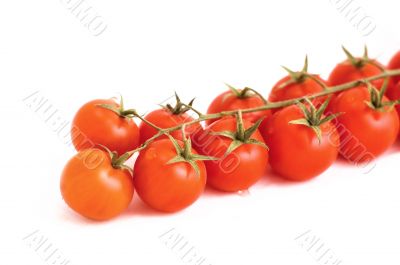 tomatos