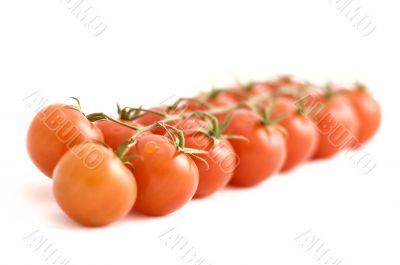 tomatos