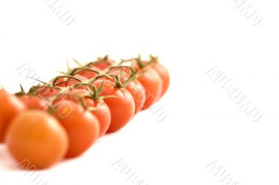 tomatos
