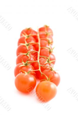 tomatos