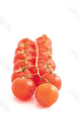 tomatos