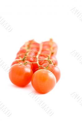 tomato