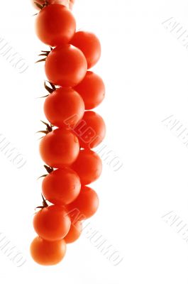 tomatos