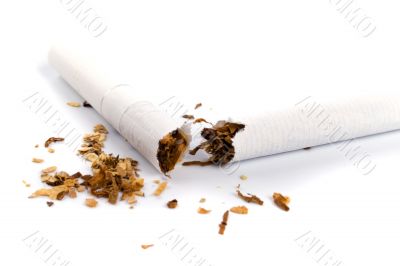 broken cigarette