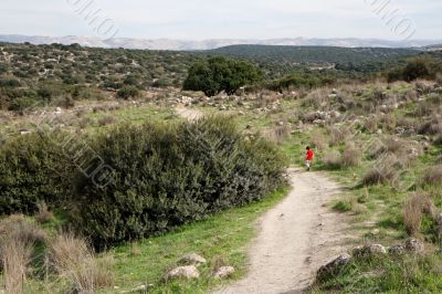 Little boy walks along the trail