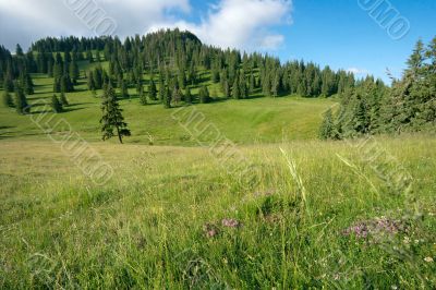 Hills