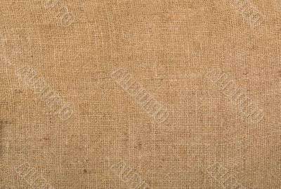Linea texture