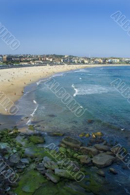 Bondi Beach