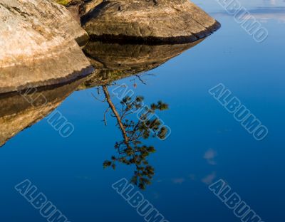 reflection