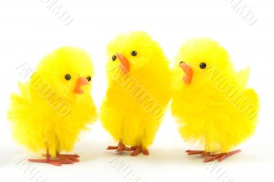 couple yellow decorative easter chicken