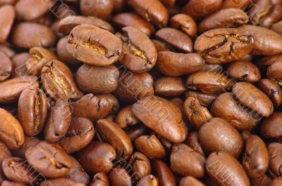 coffee beans