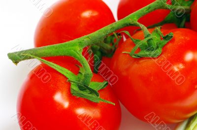 cherry tomato