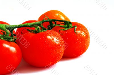 cherry tomato