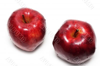 Two apples