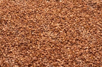 Buckwheat, background