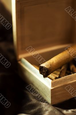 Big cigar