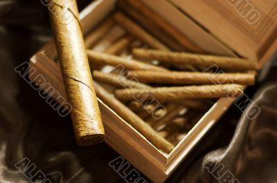 Cigars