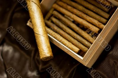 Cigars