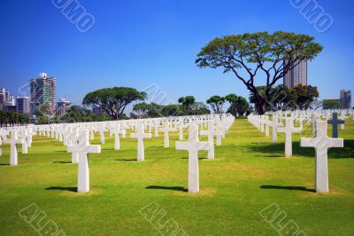 military garden cemetery